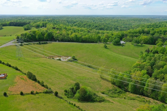 3915 Oak Ridge Rd, Palmyra, TN 37142 - photo 32