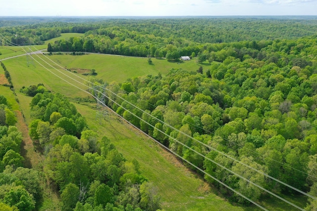 3915 Oak Ridge Rd, Palmyra, TN 37142 - photo 26