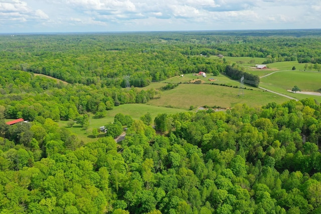 3915 Oak Ridge Rd, Palmyra, TN 37142 - photo 18
