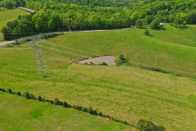 3915 Oak Ridge Rd, Palmyra, TN 37142 - photo 34