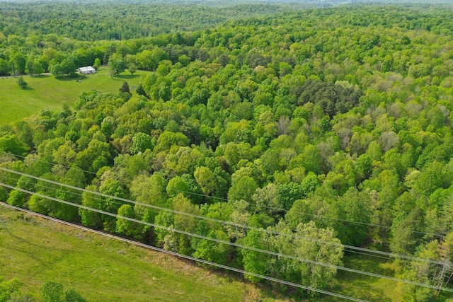 3915 Oak Ridge Rd, Palmyra, TN 37142 - photo 31