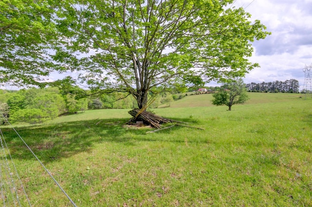 3915 Oak Ridge Rd, Palmyra, TN 37142 - photo 5