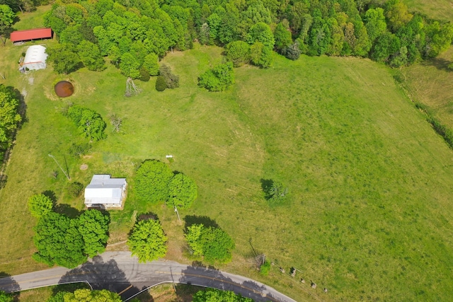 3915 Oak Ridge Rd, Palmyra, TN 37142 - photo 22