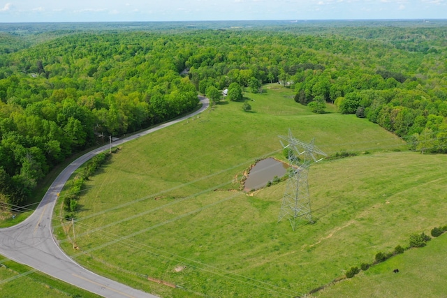 3915 Oak Ridge Rd, Palmyra, TN 37142 - photo 35