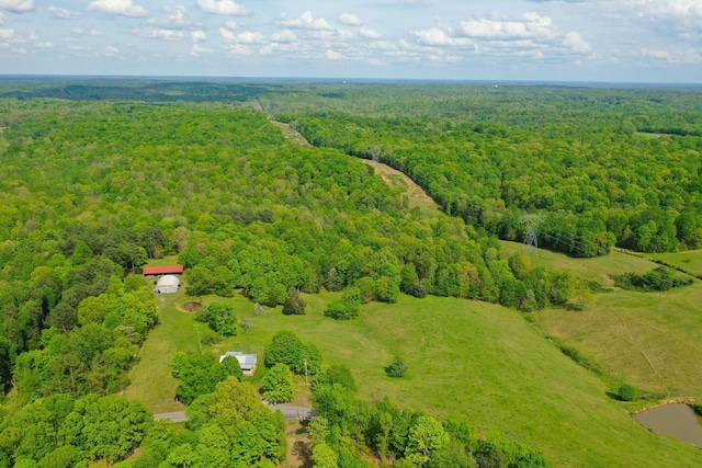 3915 Oak Ridge Rd, Palmyra, TN 37142 - photo 20