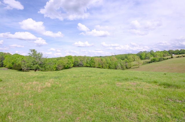 3915 Oak Ridge Rd, Palmyra, TN 37142 - photo 3