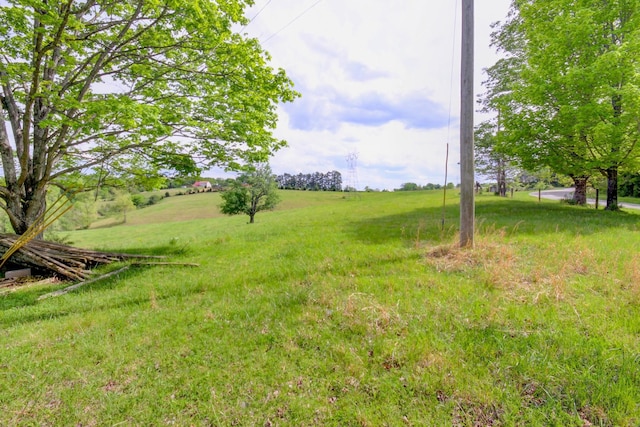 3915 Oak Ridge Rd, Palmyra, TN 37142 - photo 7