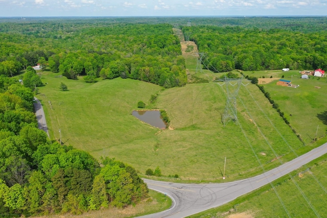 3915 Oak Ridge Rd, Palmyra, TN 37142 - photo 37