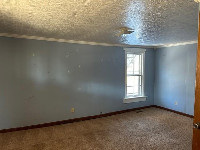 3915 Oak Ridge Rd, Palmyra, TN 37142 - photo 53