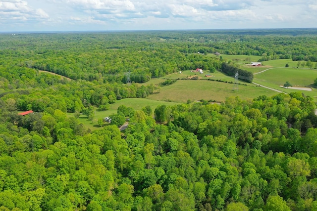 3915 Oak Ridge Rd, Palmyra, TN 37142 - photo 17