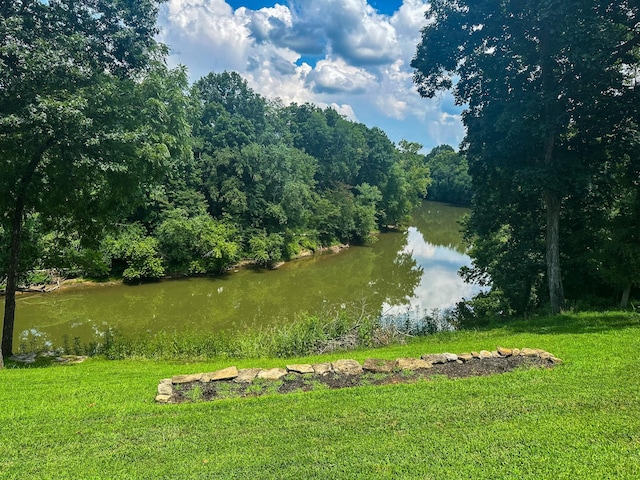 3500 Riverview Rd, Lewisburg, TN 37091 - photo 27