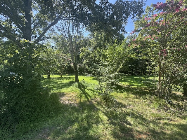 3643 Bowker Rd, Charlotte, TN 37036 - photo 4