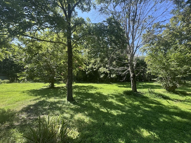 3643 Bowker Rd, Charlotte, TN 37036 - photo 2
