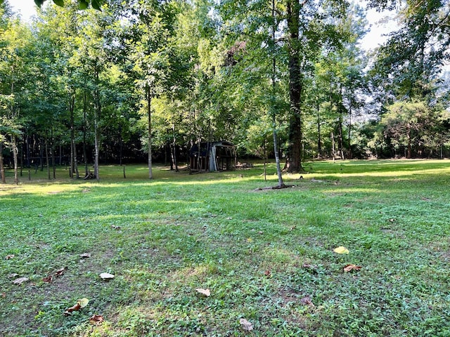 1020 Fall River Rd, Goodspring, TN 38460 - photo 2