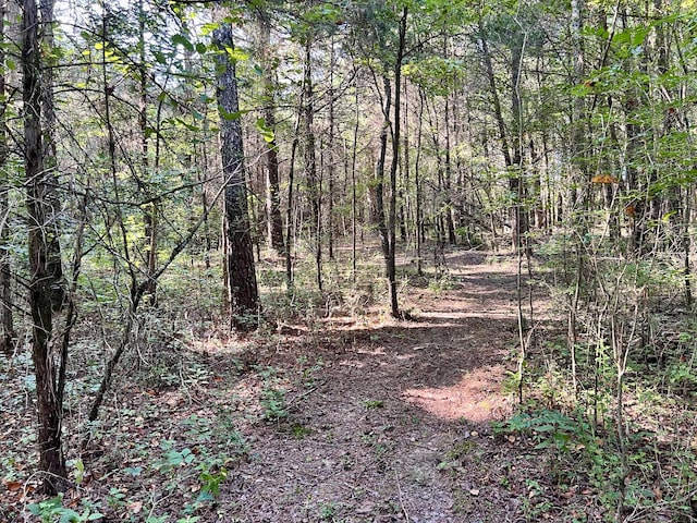 1020 Fall River Rd, Goodspring, TN 38460 - photo 20