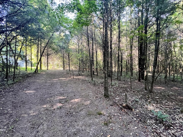 1020 Fall River Rd, Goodspring, TN 38460 - photo 14
