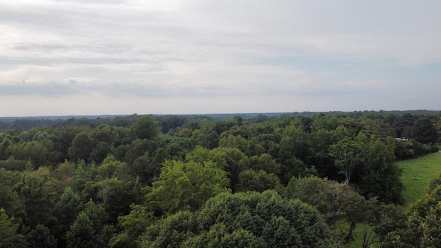 1020 Fall River Rd, Goodspring, TN 38460 - photo 34