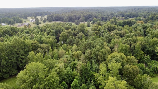 1020 Fall River Rd, Goodspring, TN 38460 - photo 35