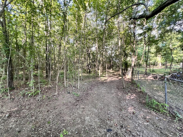 1020 Fall River Rd, Goodspring, TN 38460 - photo 26