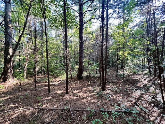 1020 Fall River Rd, Goodspring, TN 38460 - photo 18