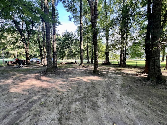 1020 Fall River Rd, Goodspring, TN 38460 - photo 28