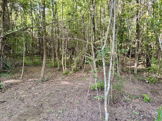 1020 Fall River Rd, Goodspring, TN 38460 - photo 11
