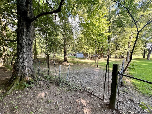 1020 Fall River Rd, Goodspring, TN 38460 - photo 9