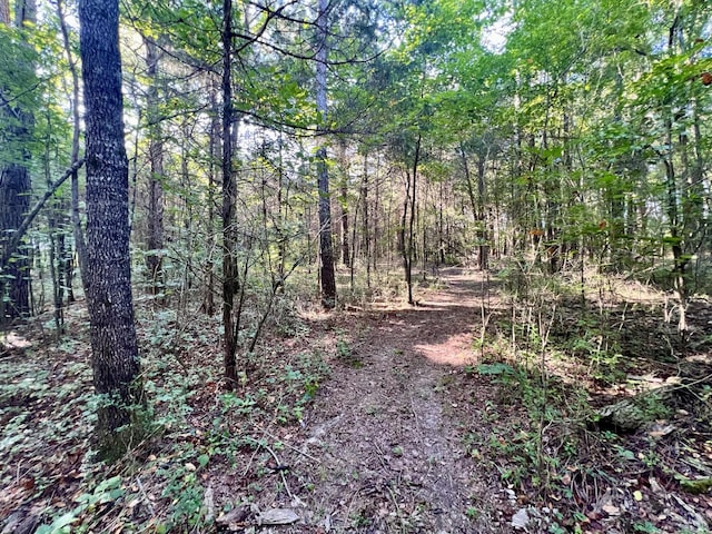 1020 Fall River Rd, Goodspring, TN 38460 - photo 19