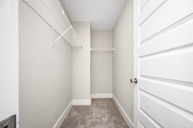 8015 Tuberose Ct, Spring Hill, TN 37174 - photo 21