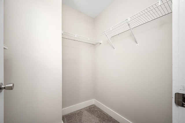 8015 Tuberose Ct, Spring Hill, TN 37174 - photo 18