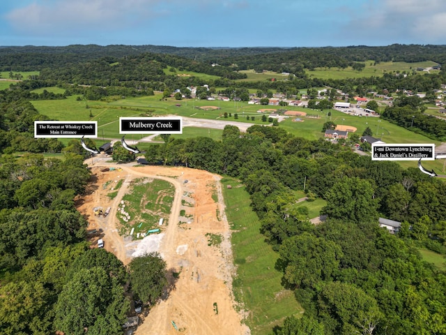 975 Main St, Lynchburg, TN 37352 - photo 3