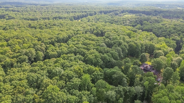 7872 Oscar Green Rd, Primm Springs, TN 38476 - photo 8