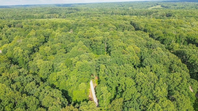 7872 Oscar Green Rd, Primm Springs, TN 38476 - photo 1