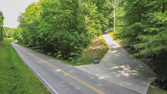 7872 Oscar Green Rd, Primm Springs, TN 38476 - photo 5