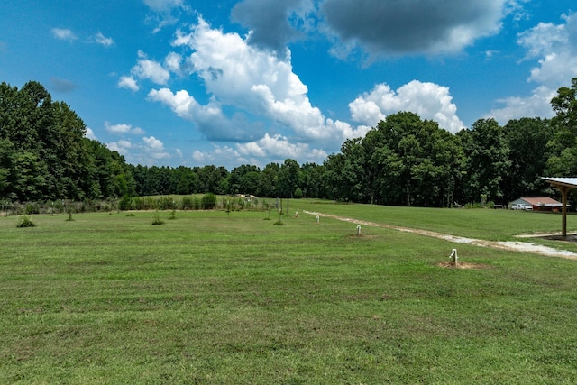 3812 Rhea Branch Rd, Ethridge, TN 38456 - photo 13