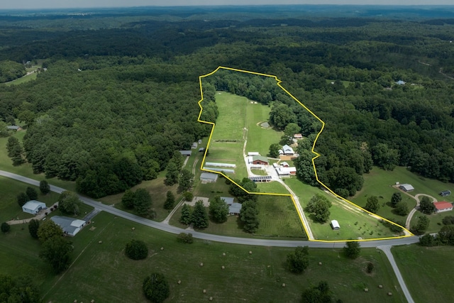 3812 Rhea Branch Rd, Ethridge, TN 38456 - photo 5