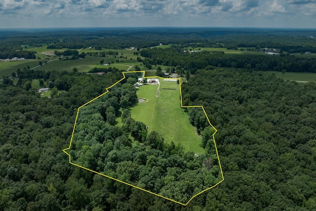 3812 Rhea Branch Rd, Ethridge, TN 38456 - photo 9