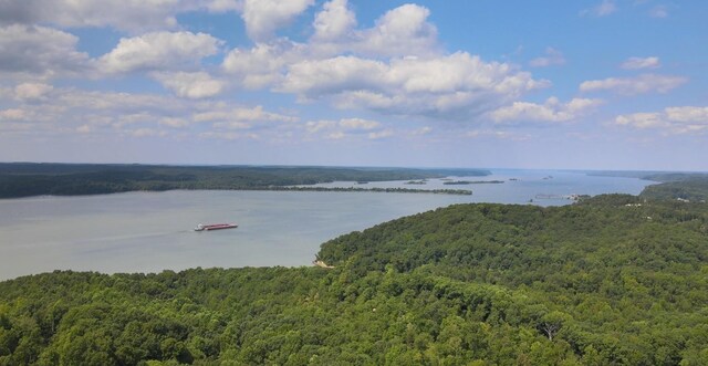 67 Overlook Trl, Stewart, TN 37175 - photo 2