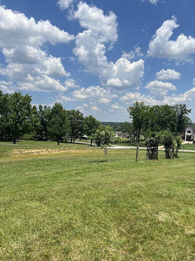 1402 Fairview Dr, Mount Juliet, TN 37122 - photo 6