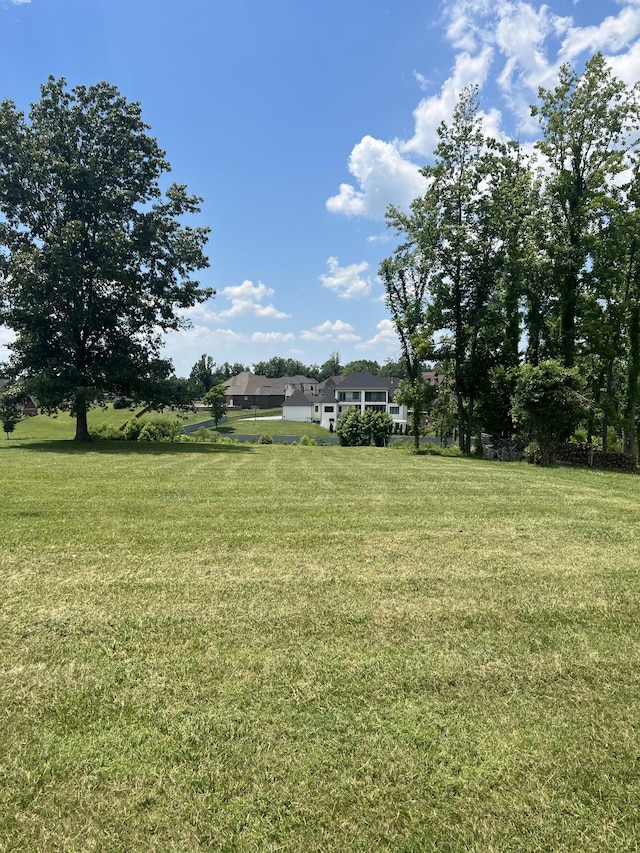 1402 Fairview Dr, Mount Juliet, TN 37122 - photo 13