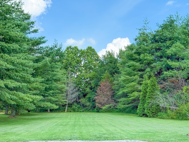 275 N Crescentview Rd, Pulaski, TN 38478 - photo 66