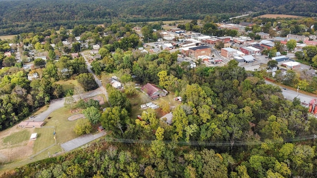 105 Webb St, Centerville, TN 37033 - photo 9