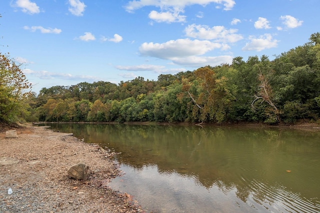 105 Webb St, Centerville, TN 37033 - photo 28