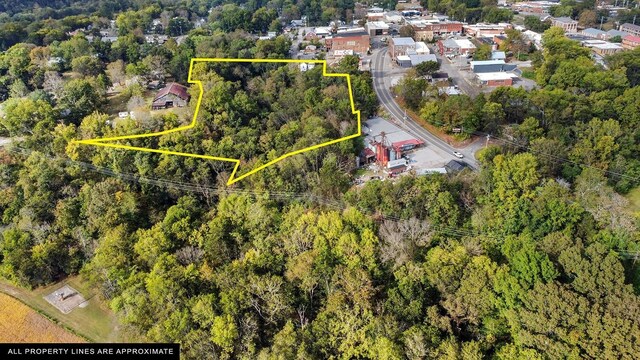 105 Webb St, Centerville, TN 37033 - photo 35