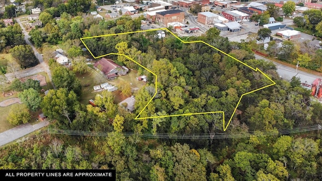 105 Webb St, Centerville, TN 37033 - photo 7