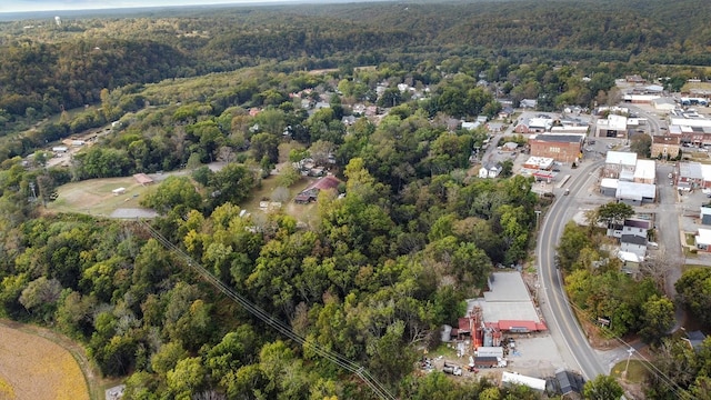 105 Webb St, Centerville, TN 37033 - photo 13
