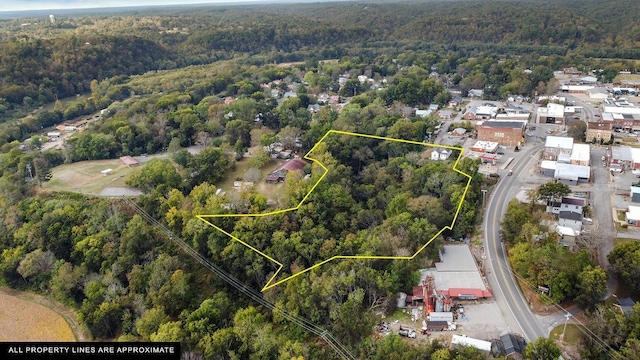 105 Webb St, Centerville, TN 37033 - photo 5