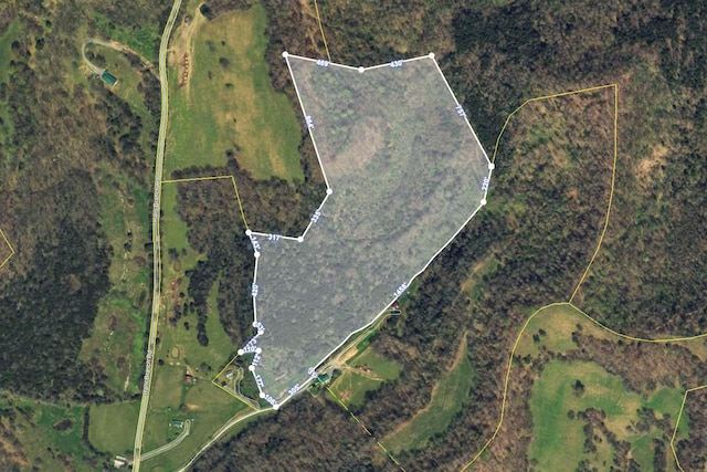 193 Dixon Ln, Pleasant Shade, TN 37145 - photo 6