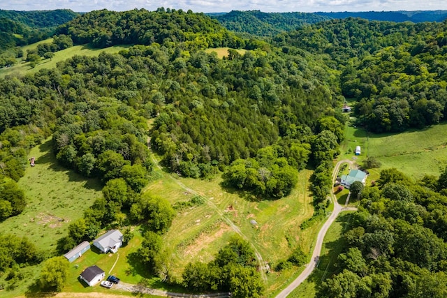 193 Dixon Ln, Pleasant Shade, TN 37145 - photo 13