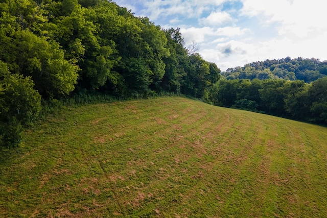 193 Dixon Ln, Pleasant Shade, TN 37145 - photo 23